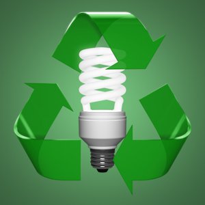 CARTON RECYCLING FOR HID & CFL LAMPS CFL250 (PER LAMP)
